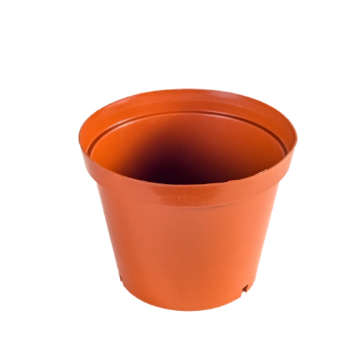 Picture of ROUND PLASTIC TERRA PLANT POT - VARIOUS SIZES