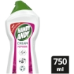 Picture of HANDY ANDY POTPOURRI CLEANING CREAM 750ML