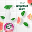 Picture of HANDY ANDY BATHROOM TRIGGER 500ml