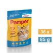 Picture of PAMPER CAT WET FOOD POUCH - TUNA SALMON 36x85g