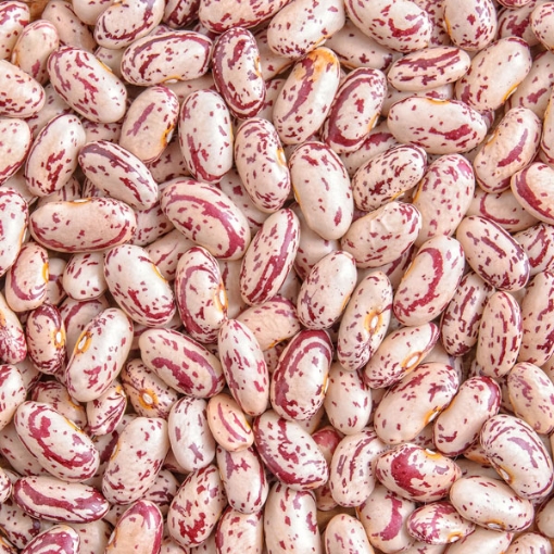 Picture of CATERWISE DRIED SUGAR BEANS 2Kg   