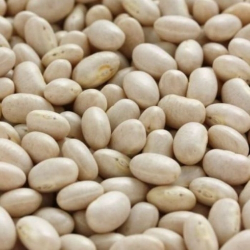 Picture of CATERWISE HARICOT BEANS 1Kg