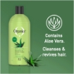 Picture of ORGANICS 2-IN-1 SHAMPOO & CONDITIONER DAILY CARE 1L