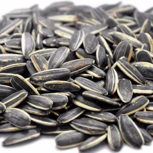 Picture of CATERWISE RAW SUNFLOWER SEEDS IN SHELL 5KG