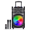 Picture of INTEX T-350 TUFB (DUAL) 60W TROLLEY SPEAKER BLUETOOTH V5.1 