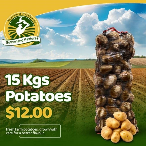 Picture of LOCAL POTATOES, POCKET 15KG