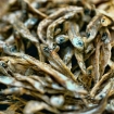 Picture of  PREMIER KAPENTA DRIED & SALTED 250g