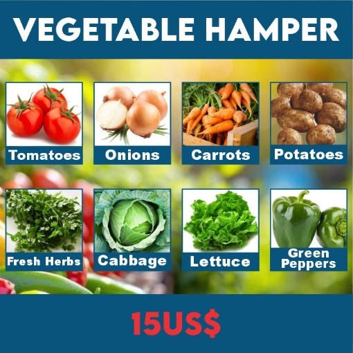 Picture of VEGETABLE HAMPER US$15