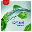 Picture of COLGATE PLAX SOFT MINT MOUTHWASH 500ml