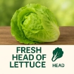 Picture of LETTUCE HEAD